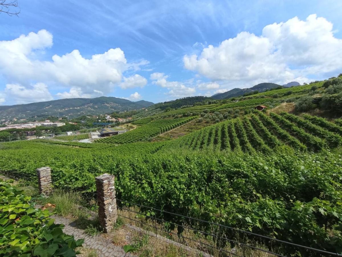 Apartmán Al Vigneto Sestri Levante Exteriér fotografie